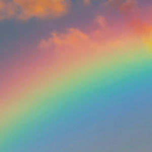 Meet your Posher, Kendall